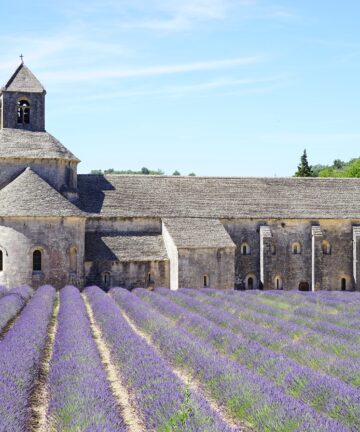 Vaucluse and Provence