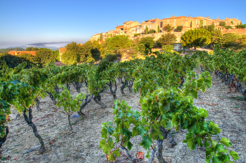 Excursion Le Castellet