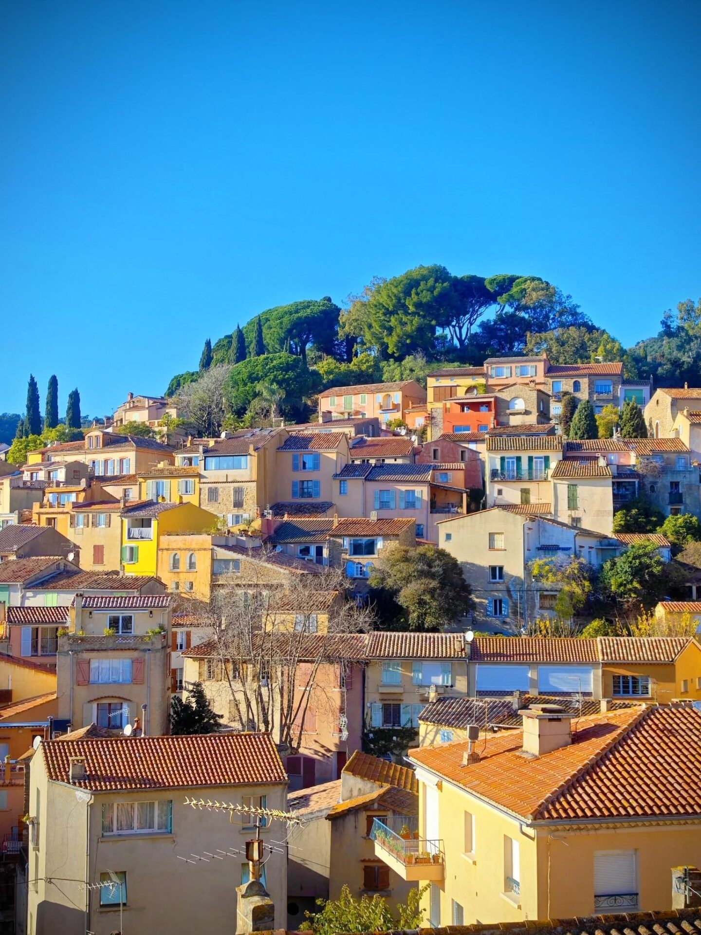 Excursion to Bormes les Mimosas, Saint Tropez Cruise Port