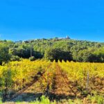 Excursion to Gassin, Visit Gassin