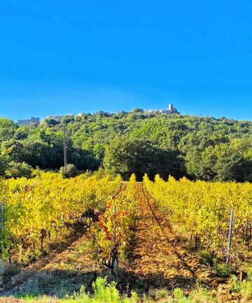 Excursion to Gassin, Visit Gassin