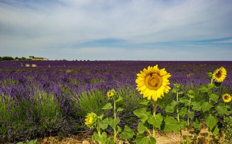 Visit Provence, Guide Provence