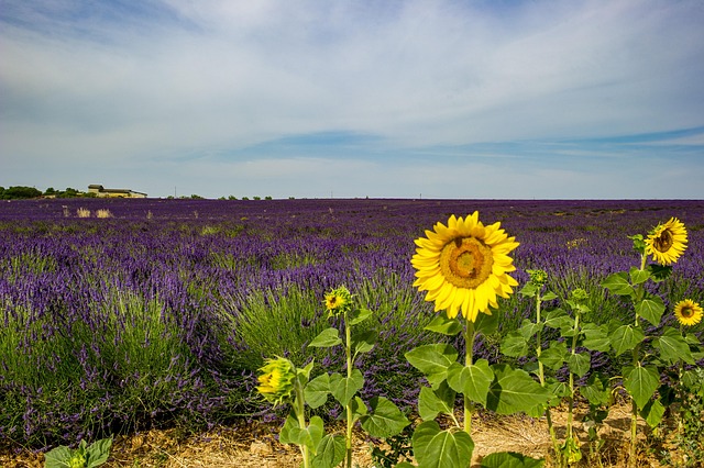 Visit Provence, Guide Provence