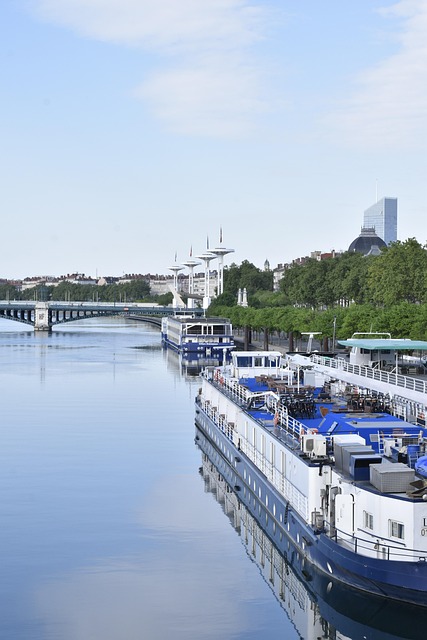 Visit Lyon, Lyon City Tour