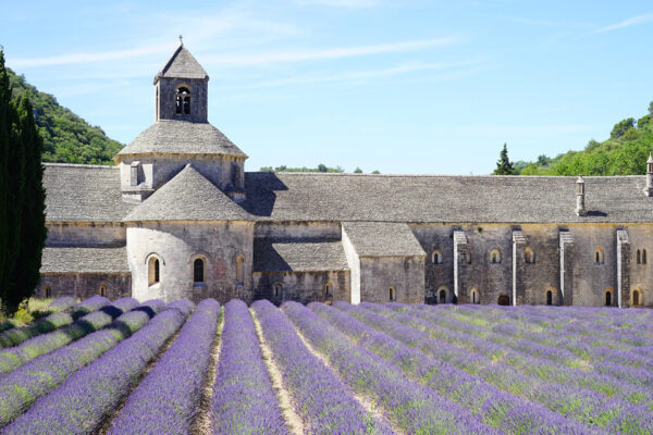 Visit Provence, Visit Provence France, Tours in Provence