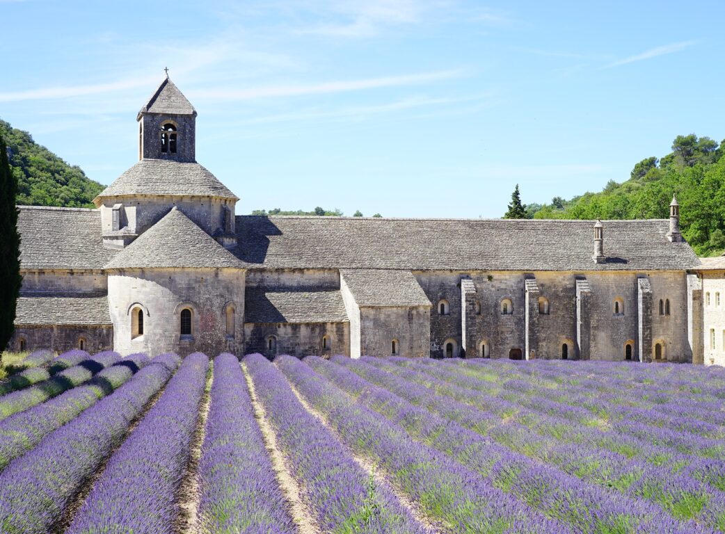 Provence Champs de Lavande Senanque
