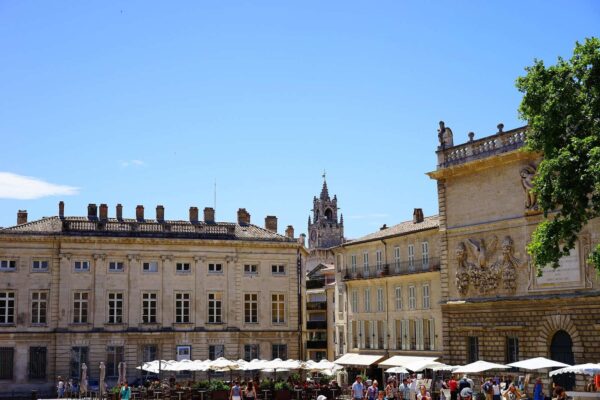 avignon square