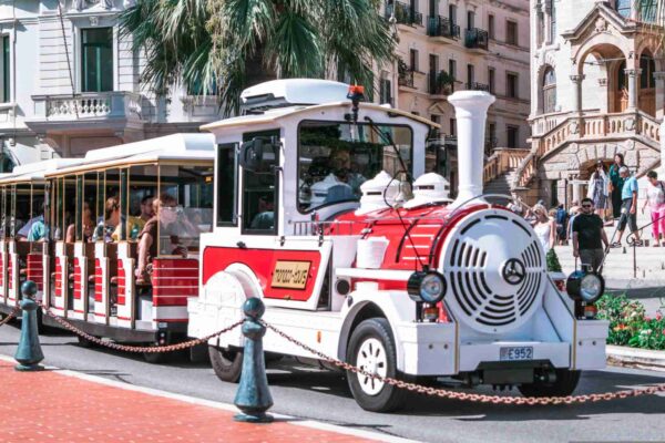 nice petit train